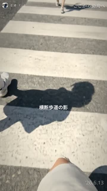 横断歩道の影